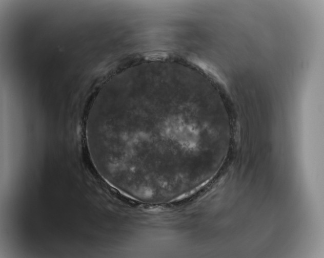 X0000096161445200802151405