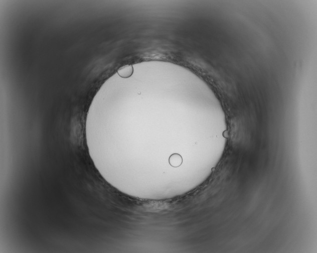 X0000096161446200802151405