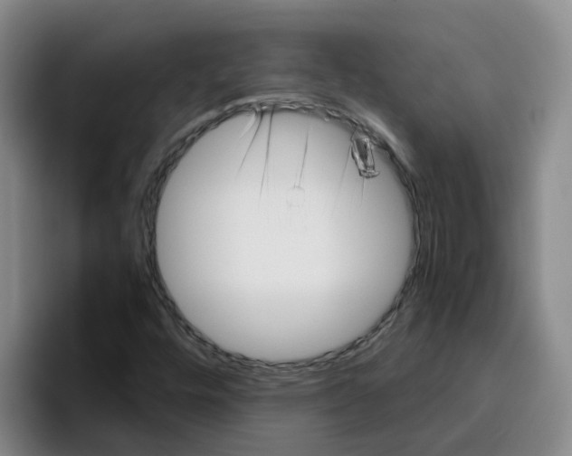 X0000096161448200802151405