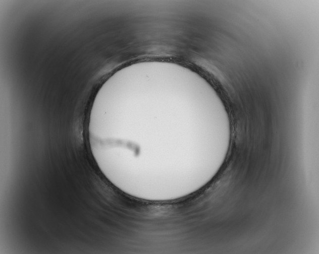 X0000096161451200802151405