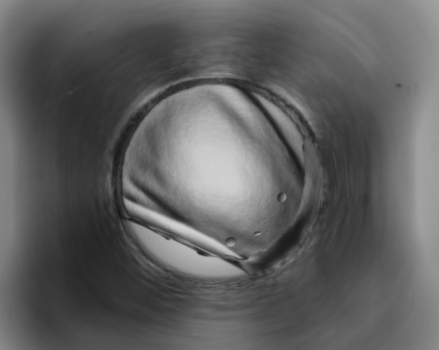 X0000096161452200802151405