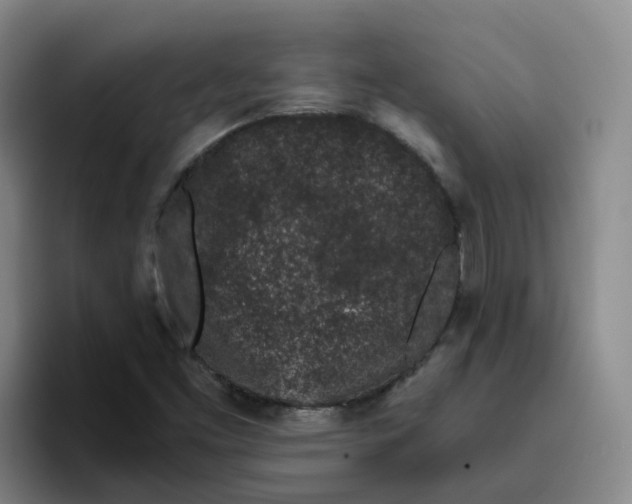 X0000096161453200802151405