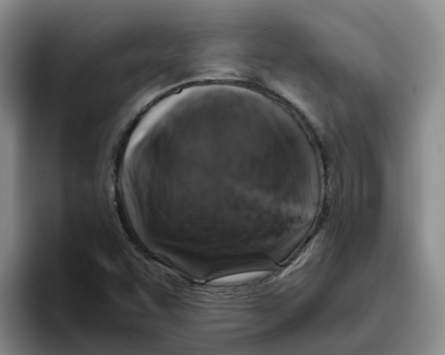 X0000096161455200802151405