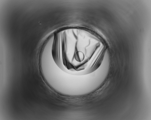 X0000096161456200802151405