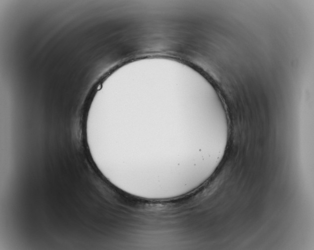 X0000096161458200802151405