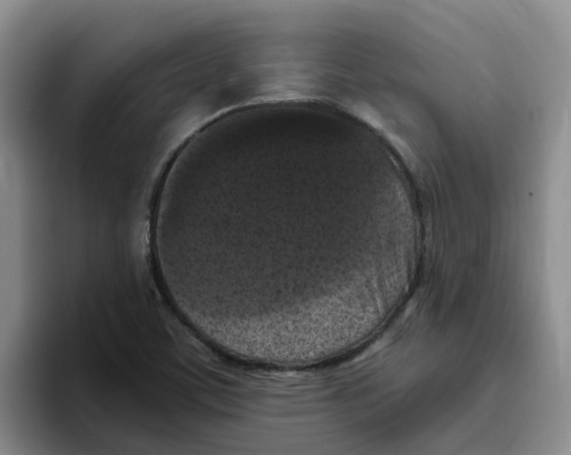 X0000096161459200802151405