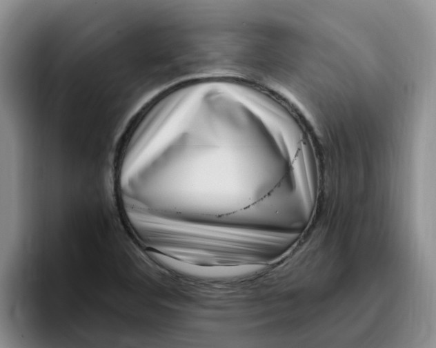 X0000096161460200802151405