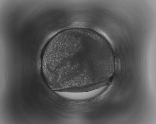 X0000096161461200802151405