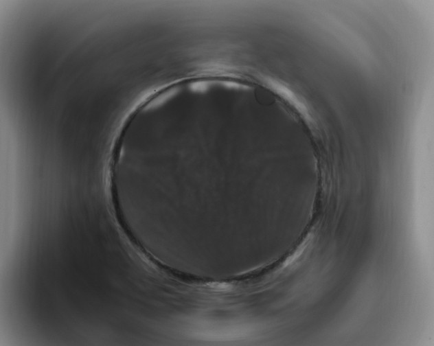 X0000096161463200802151405