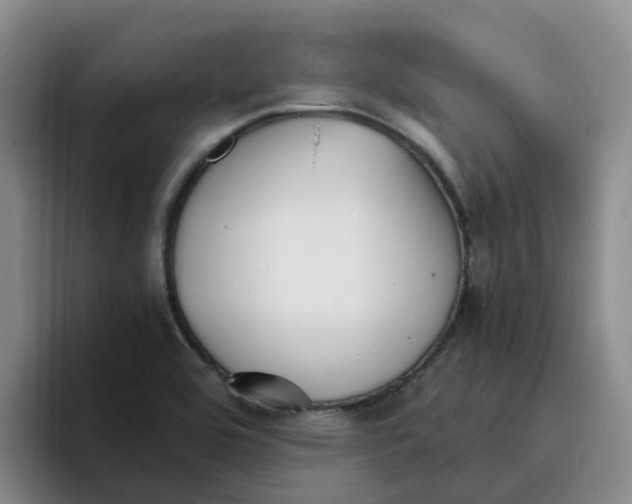 X0000096161464200802151405