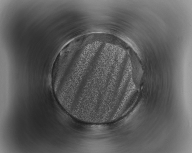 X0000096161465200802151405