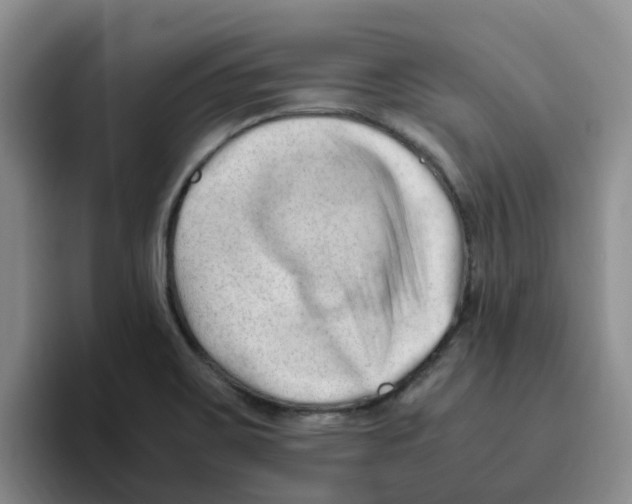 X0000096161467200802151404