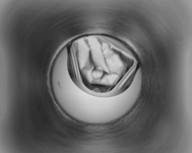 X0000096161468200802151404