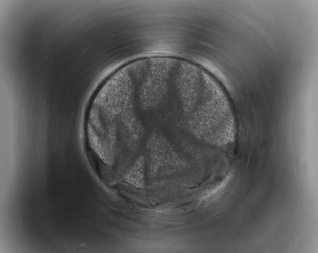 X0000096161469200802151404