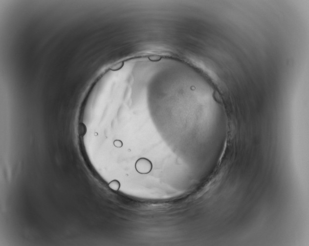 X0000096161471200802151404