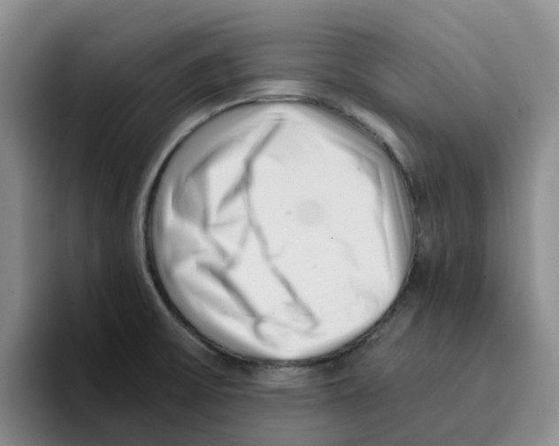 X0000096161475200802151404