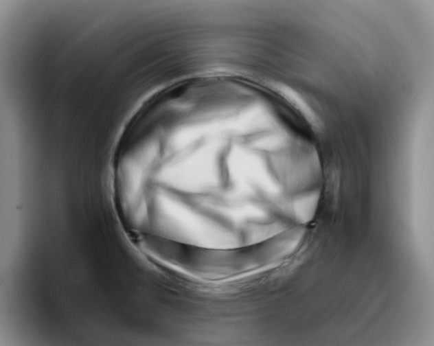 X0000096161476200802151404