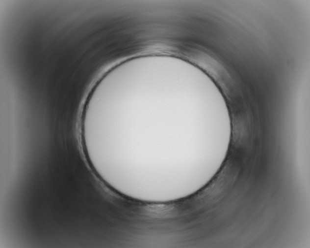 X0000096161478200802151404