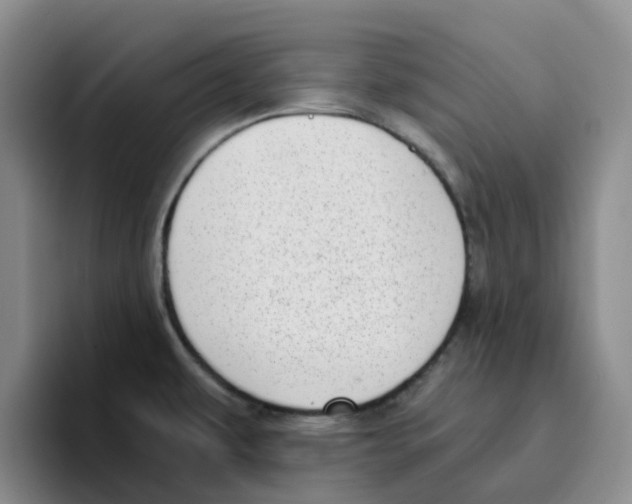 X0000096161479200802151404