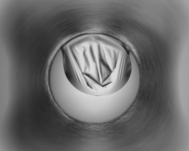 X0000096161480200802151404