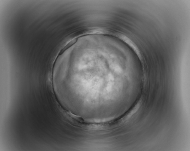 X0000096161481200802151404