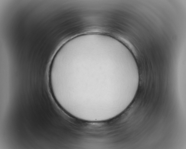 X0000096161483200802151404