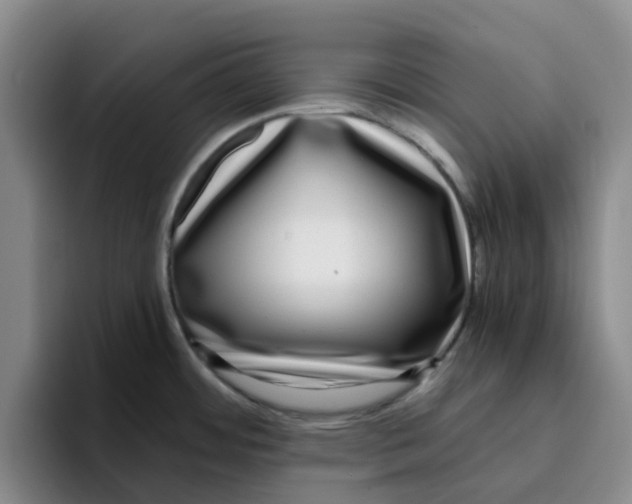 X0000096161484200802151404