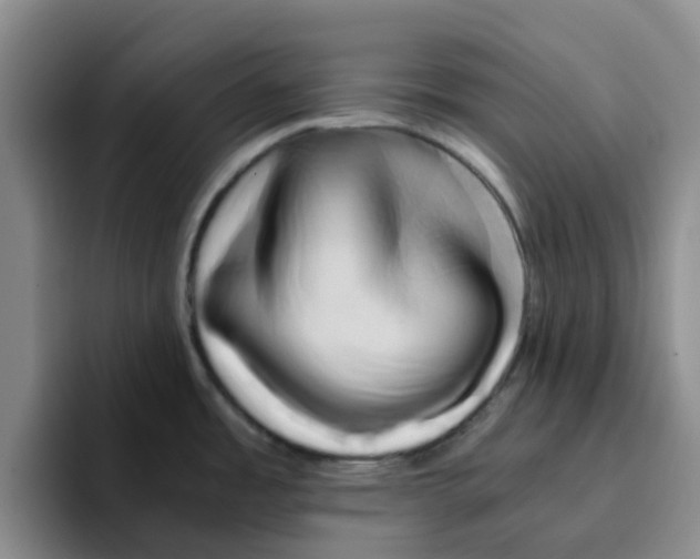 X0000096161485200802151404