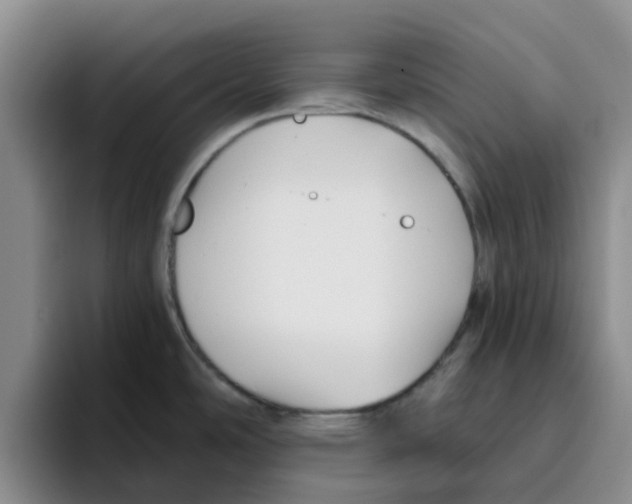 X0000096161486200802151404