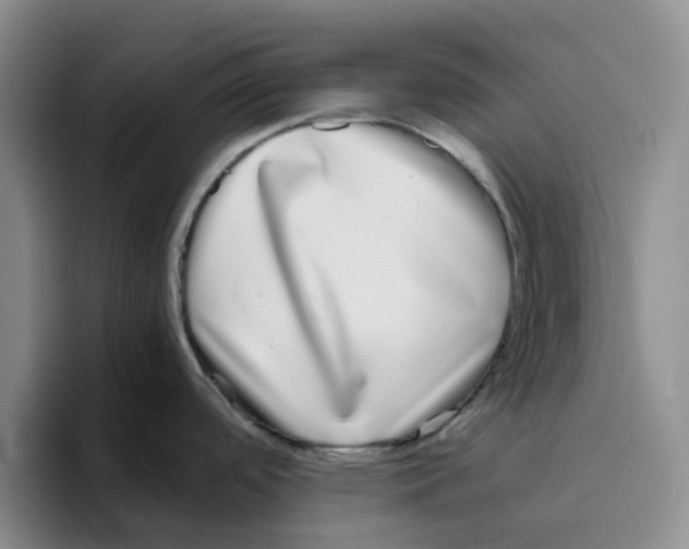 X0000096161488200802151404