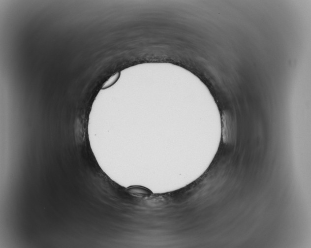 X0000096161491200802151404