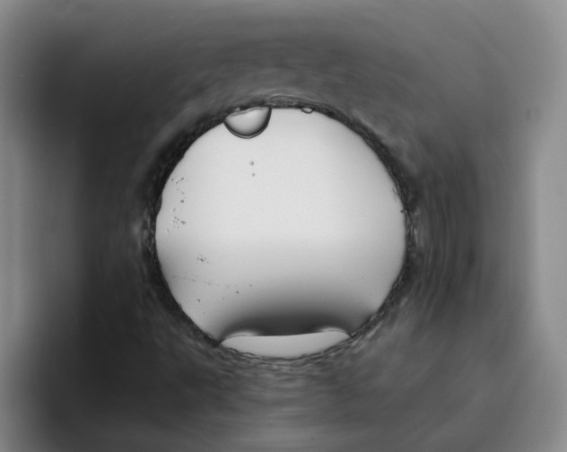 X0000096161495200802151404