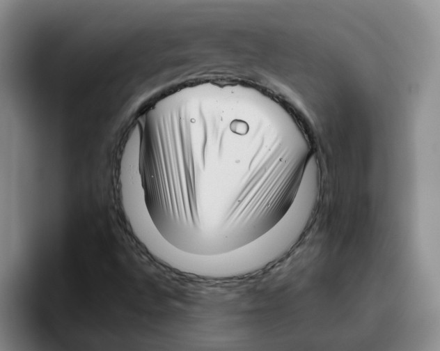 X0000096161496200802151404