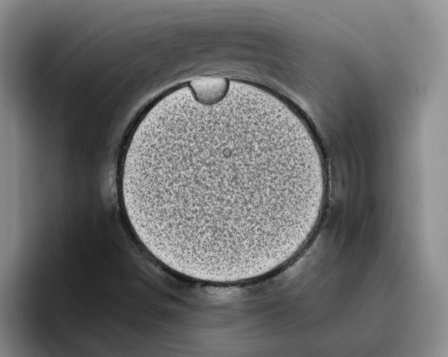 X0000096161498200802151404