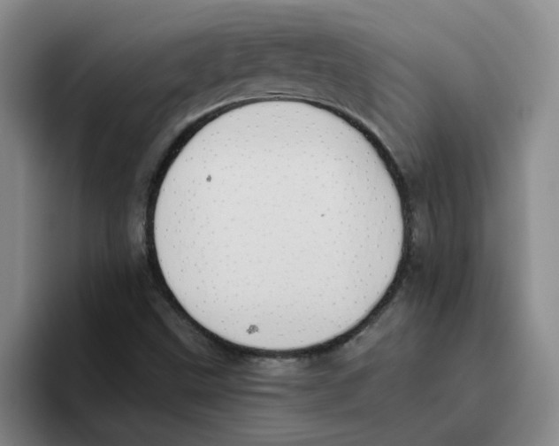 X0000096161499200802151404