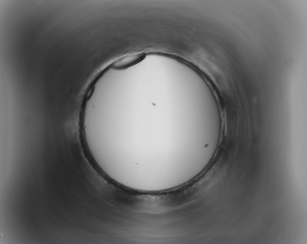 X0000096161500200802151404