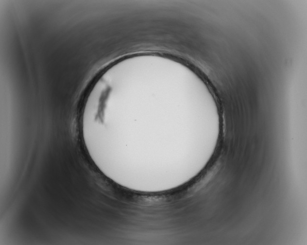 X0000096161501200802151404