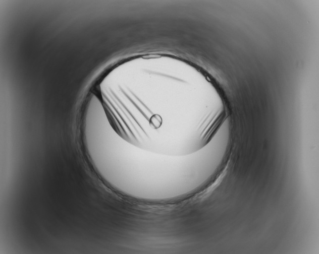 X0000096161502200802151404