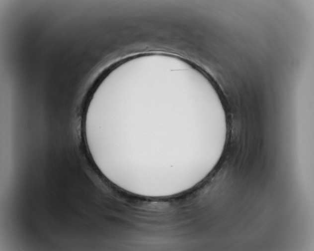 X0000096161503200802151404