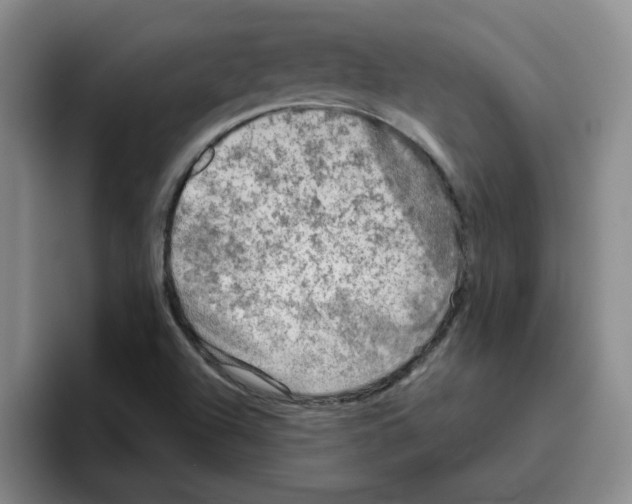 X0000096161504200802151404