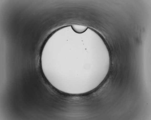 X0000096161507200802151404