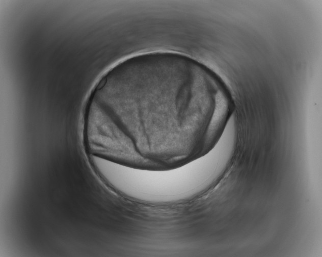 X0000096161508200802151404