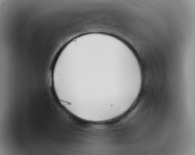 X0000096161509200802151404