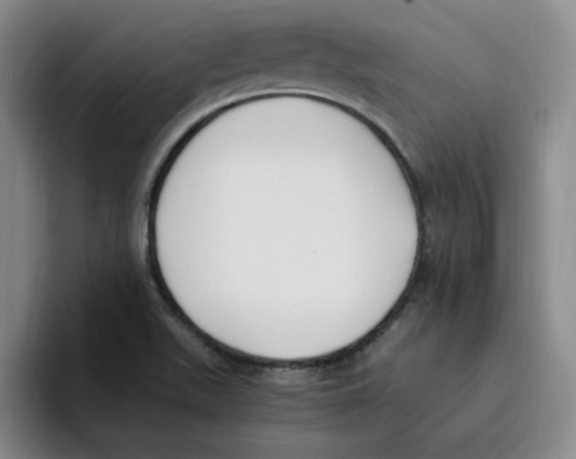 X0000096161511200802151404