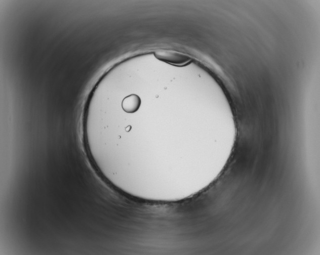 X0000096161512200802151404