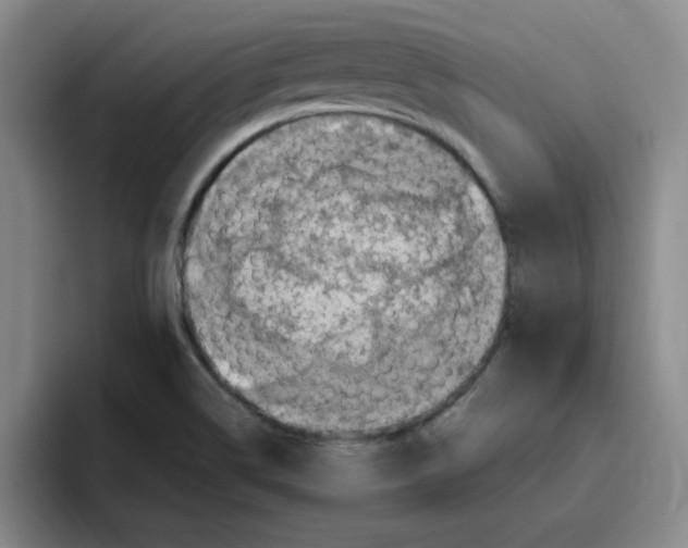 X0000096161514200802151404