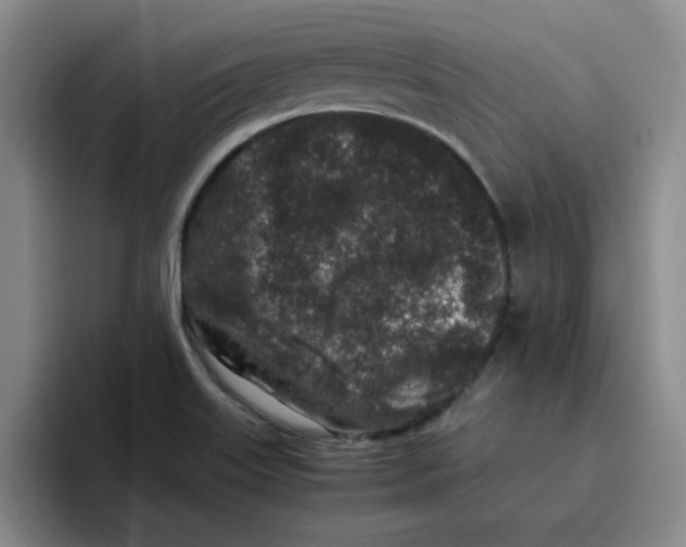 X0000096161515200802151404