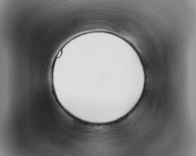 X0000096161516200802151404