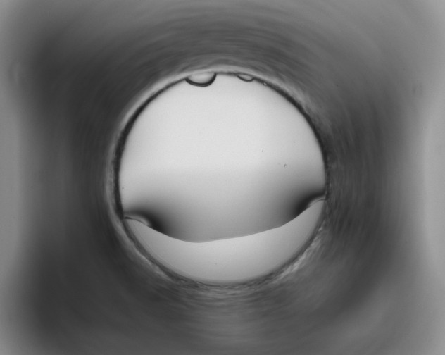 X0000096161518200802151404