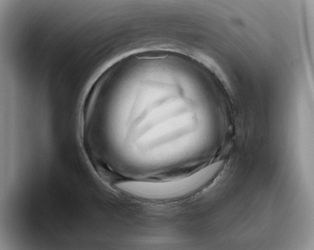 X0000096161520200802151404